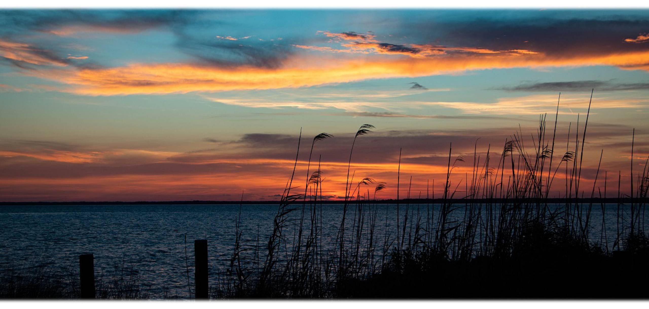 St George Island Rentals | Forgotten Shores Properties